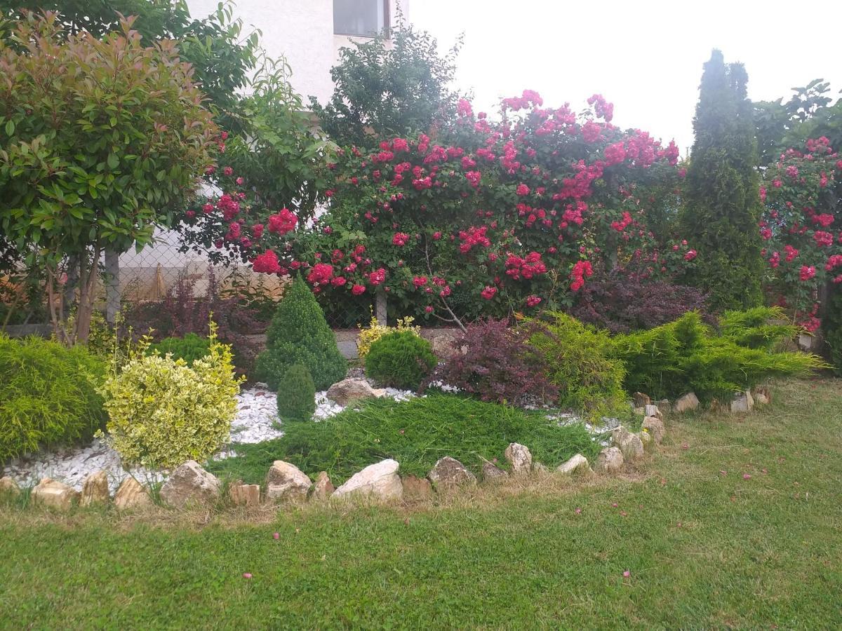 אוהריד Villa Silva מראה חיצוני תמונה