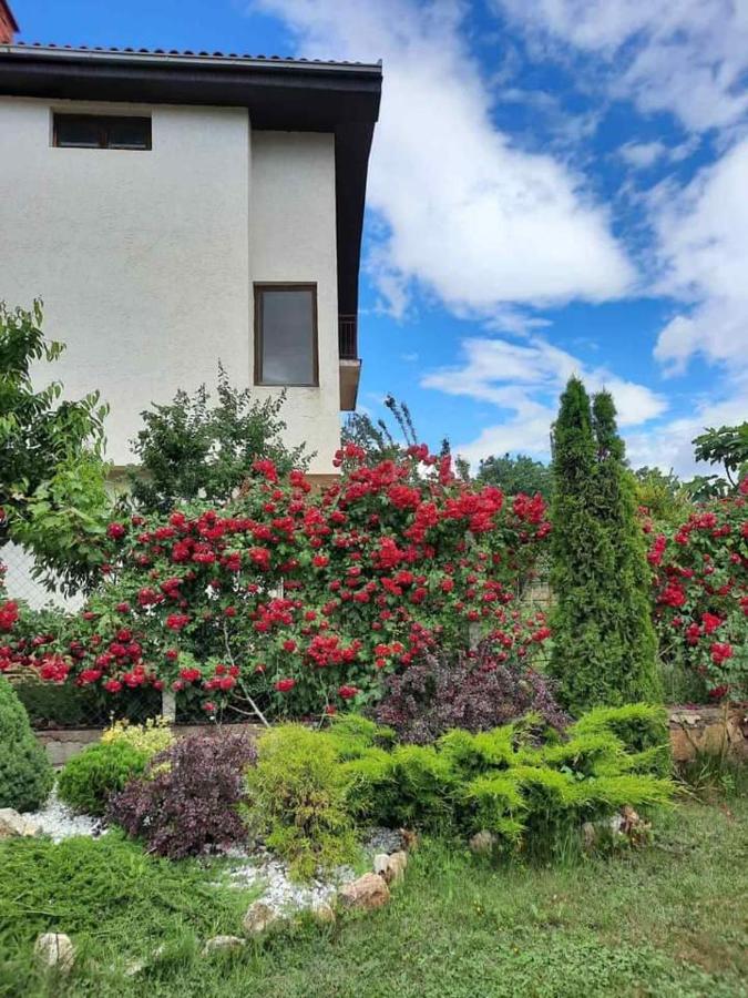 אוהריד Villa Silva מראה חיצוני תמונה