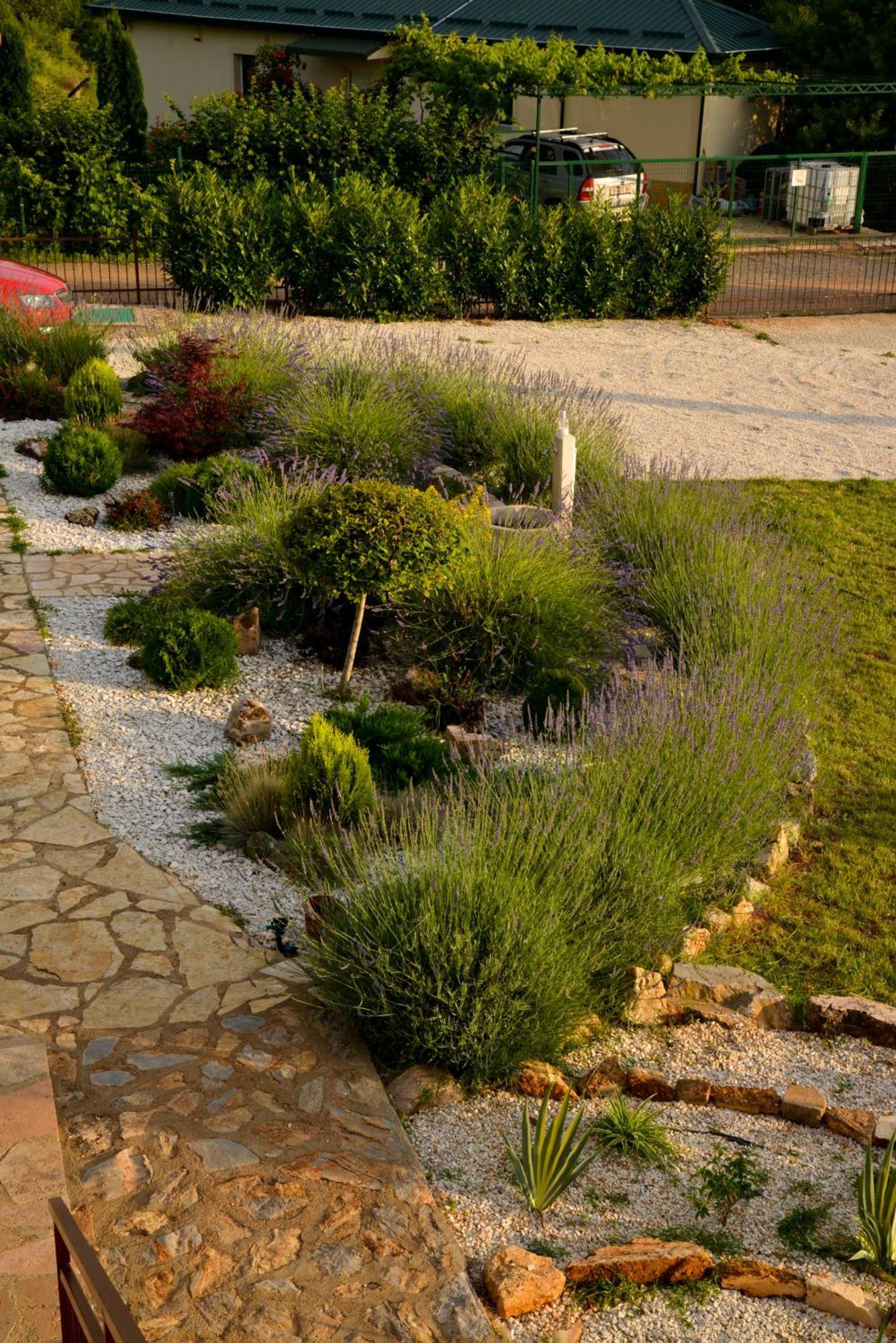 אוהריד Villa Silva מראה חיצוני תמונה