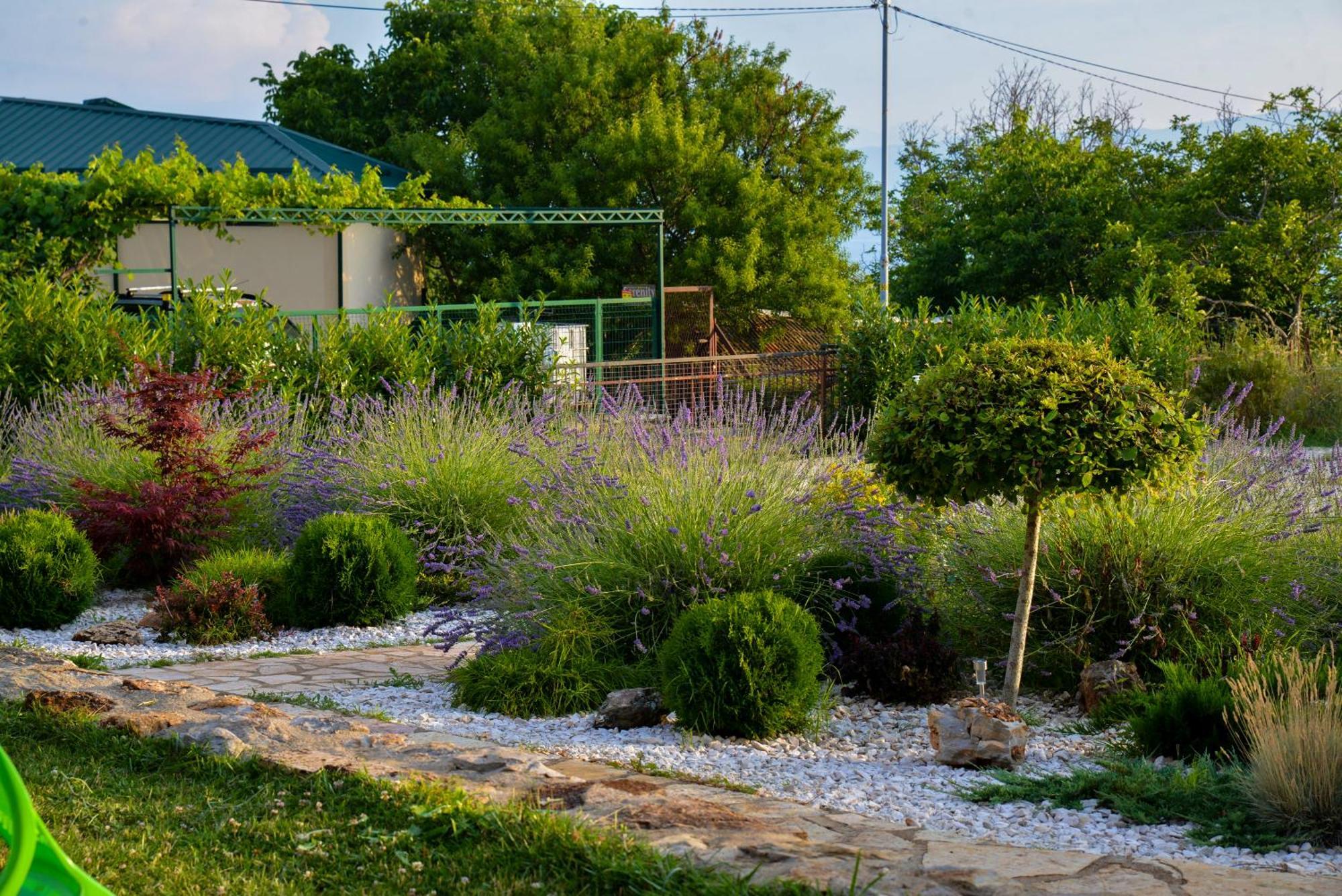 אוהריד Villa Silva מראה חיצוני תמונה